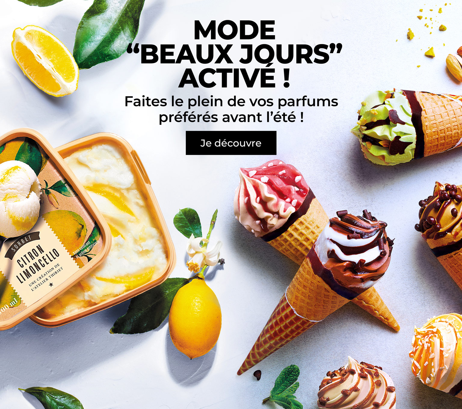 Amateurs de sorbets et de crèmes glacées, découvrez nos créations glacées :  cornets, bâtonnets, bacs, pots, barres glacées ou Sunday