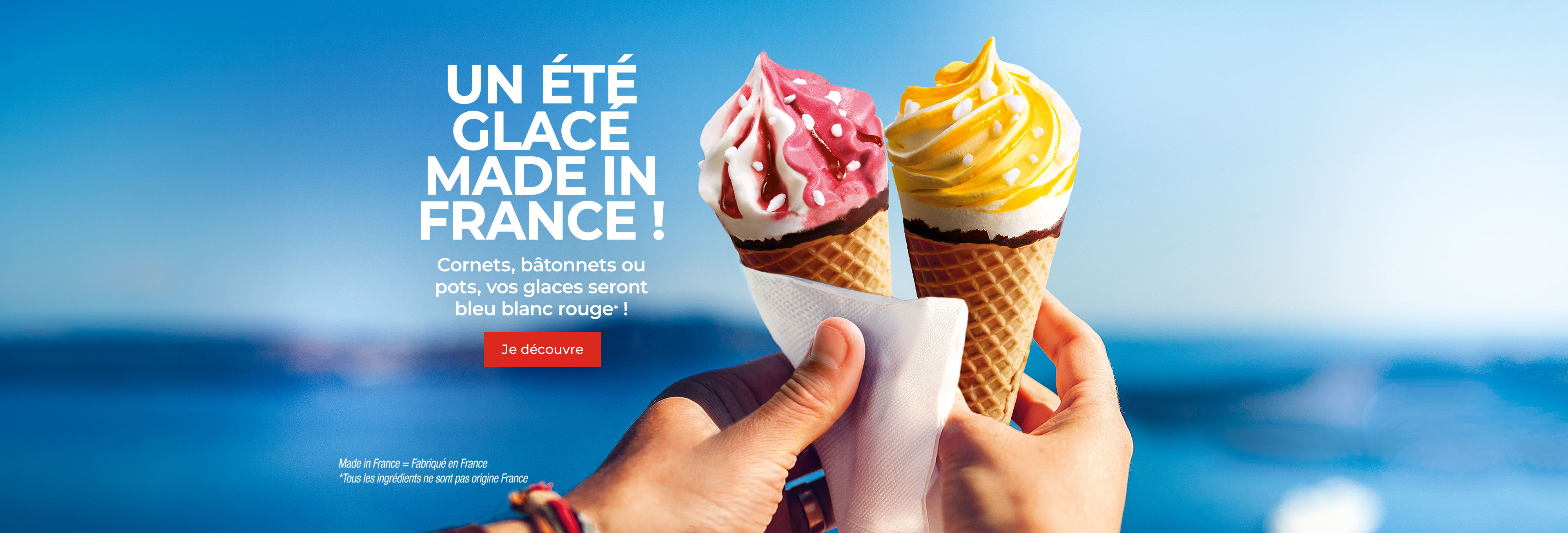 Amateurs de sorbets et de crèmes glacées, découvrez nos créations : cornets, bâtonnets, bacs, pots, barres glacées ou Sunday