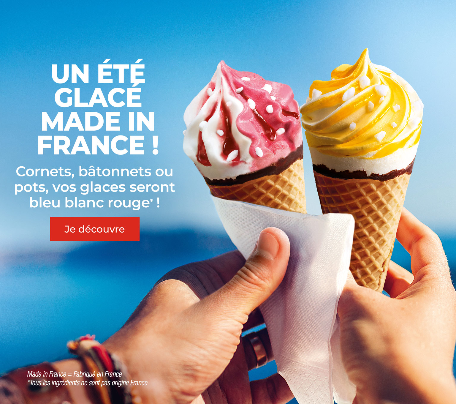 Amateurs de sorbets et de crèmes glacées, découvrez nos créations : cornets, bâtonnets, bacs, pots, barres glacées ou Sunday