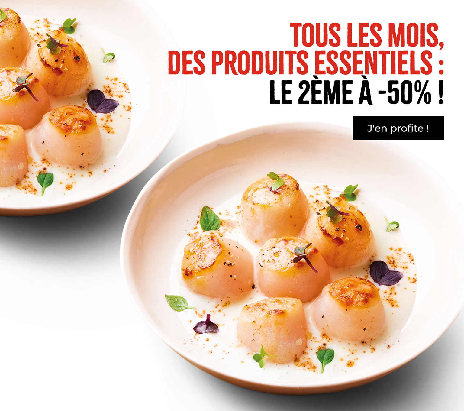 {animation_mise_avant_visuel_alt}
