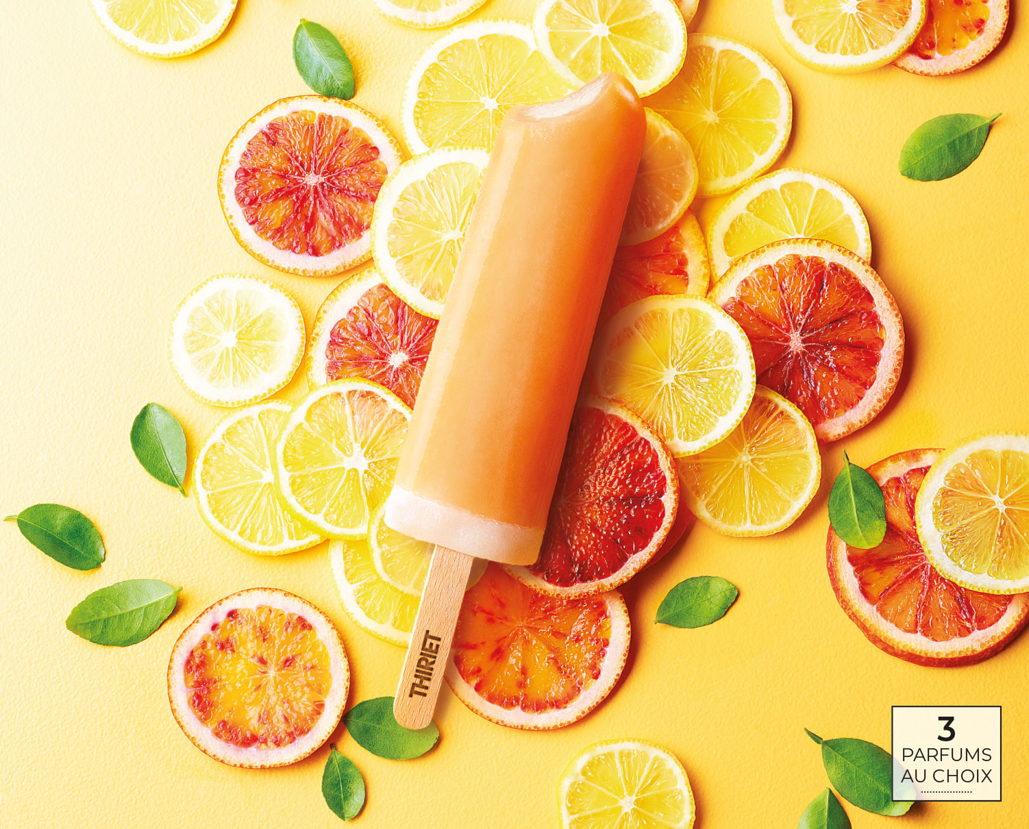 Glaces - Bâtonnets Plein Fruit rhubarbe/fraise ou orange sanguine/citon