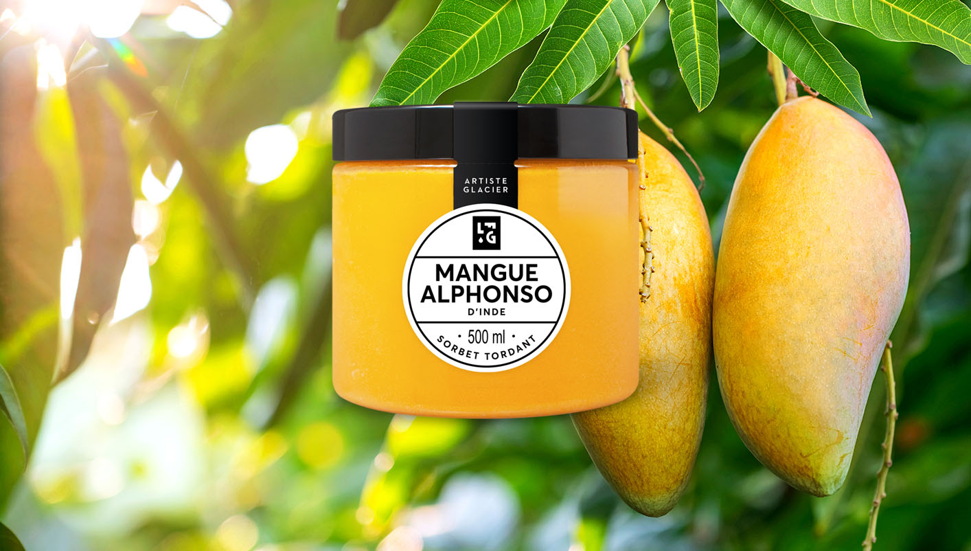 Sorbet plein fruit artisanal mangue Alphonso d'Inde