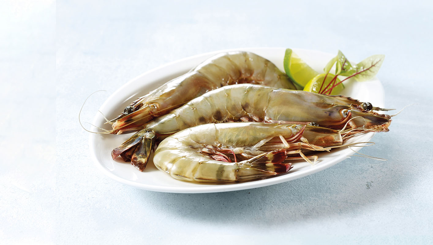 Gambas géantes sauvages entières crues