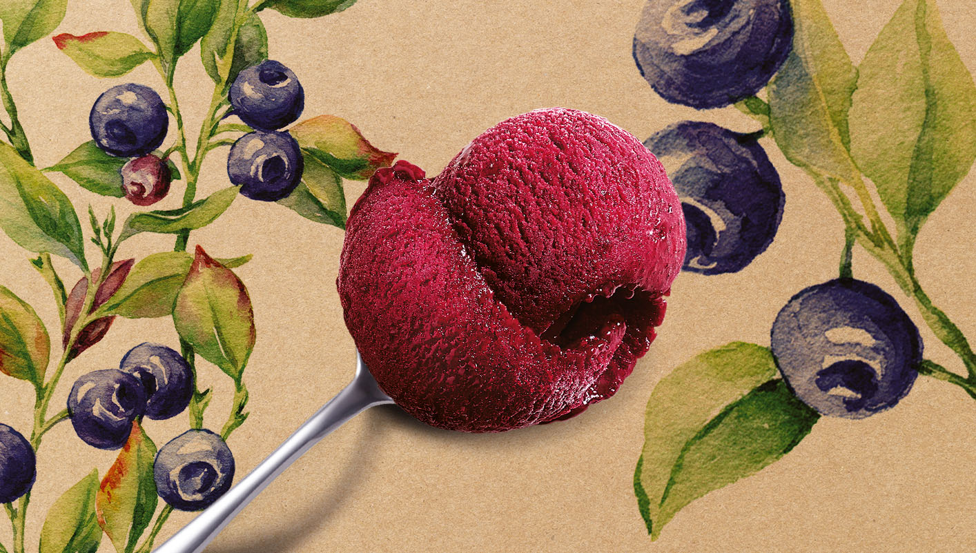 Sorbet Plein Fruit Myrtille sauvage