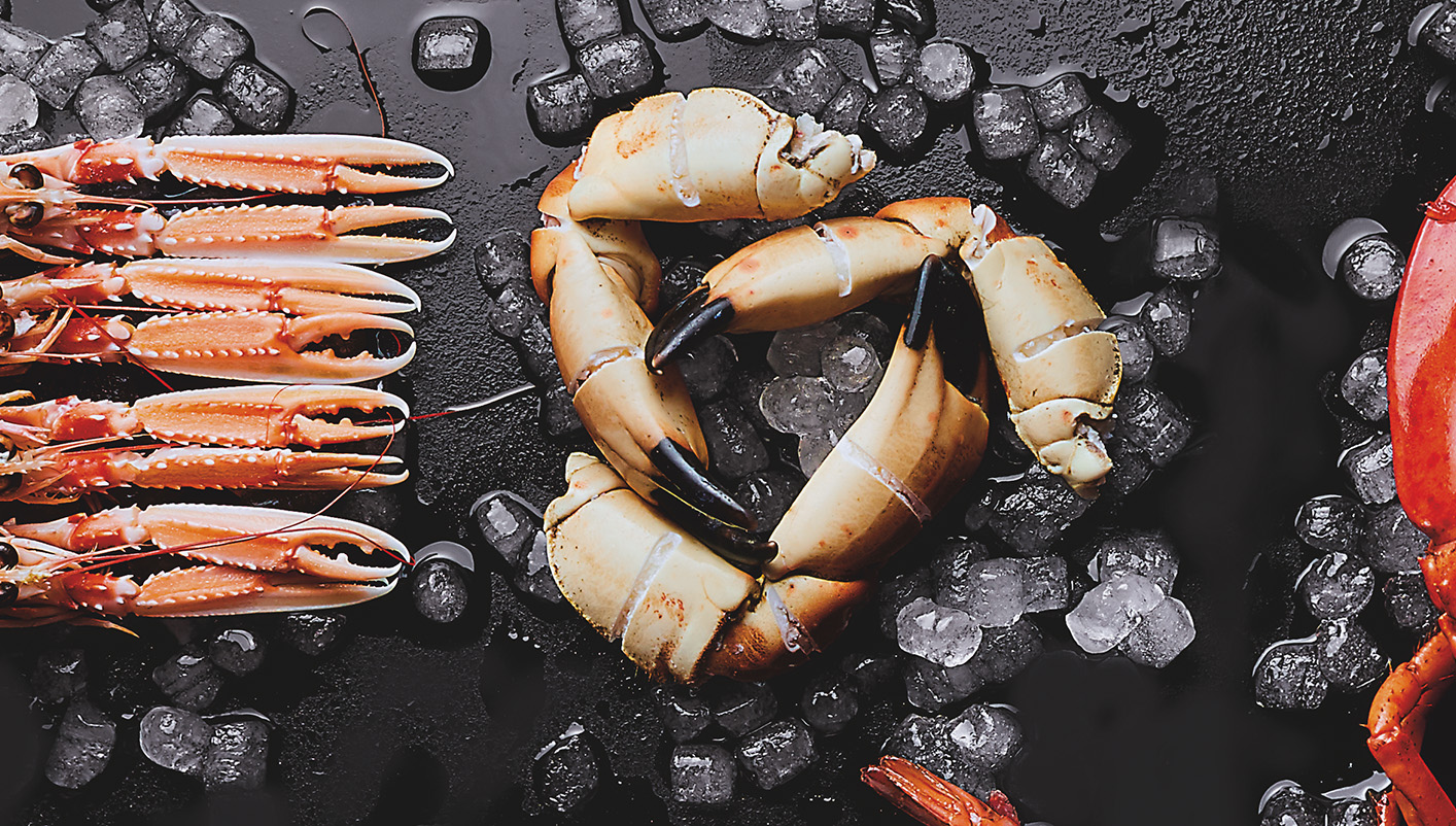 Pinces de tourteaux cuites