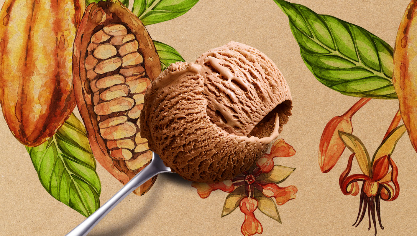 Crème glacée chocolat au lait