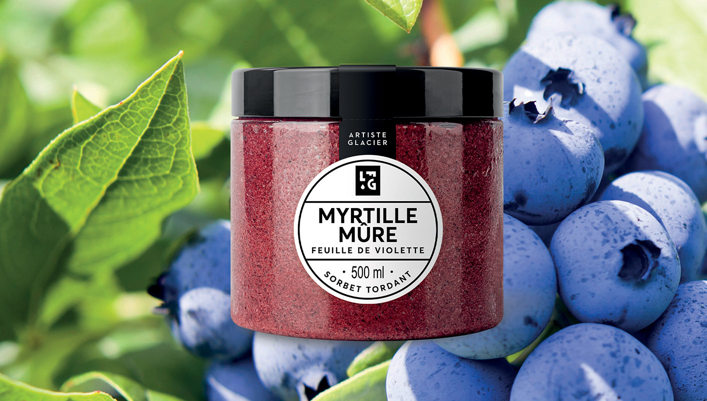 Sorbet plein fruit artisanal myrtille mûre violette