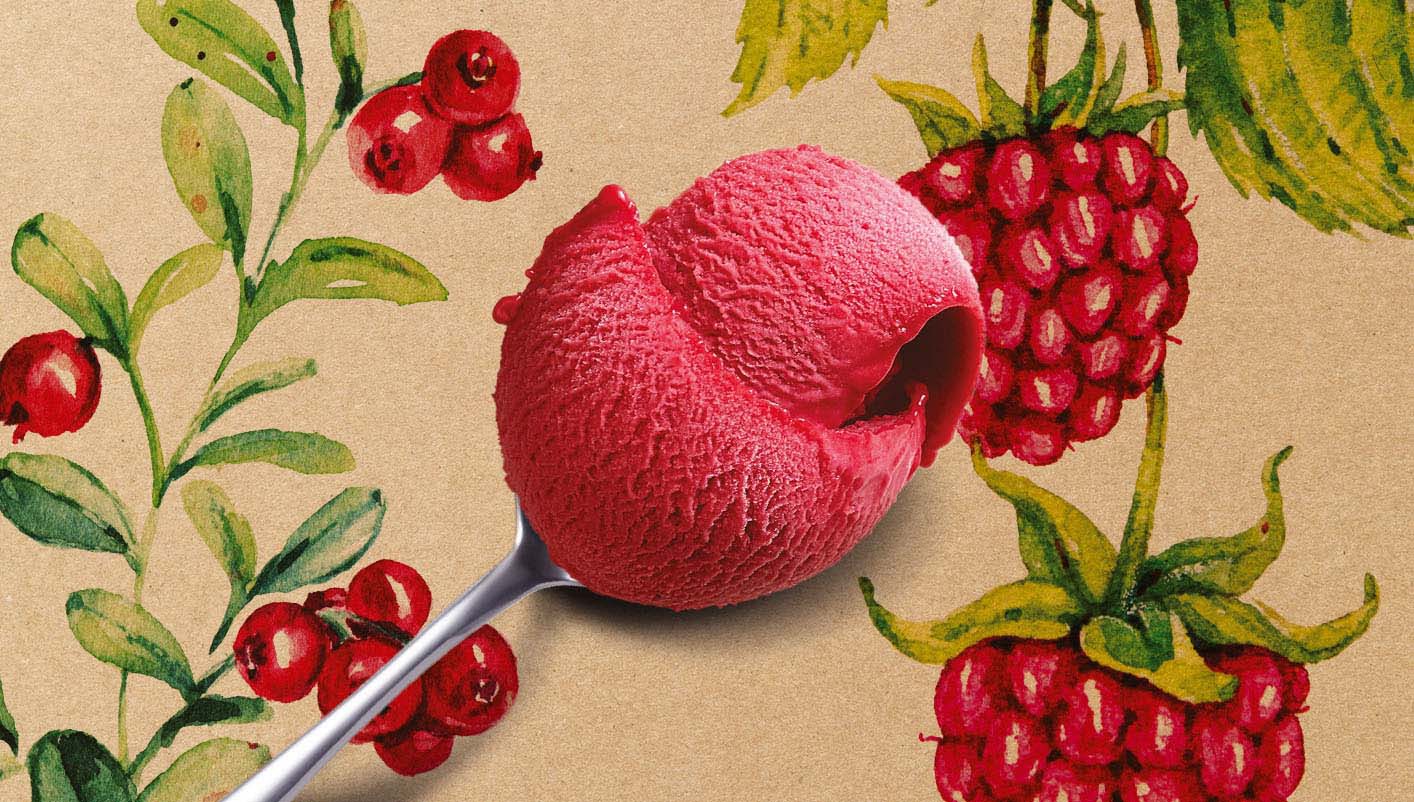 Sorbet Plein Fruit Framboise - Cranberry