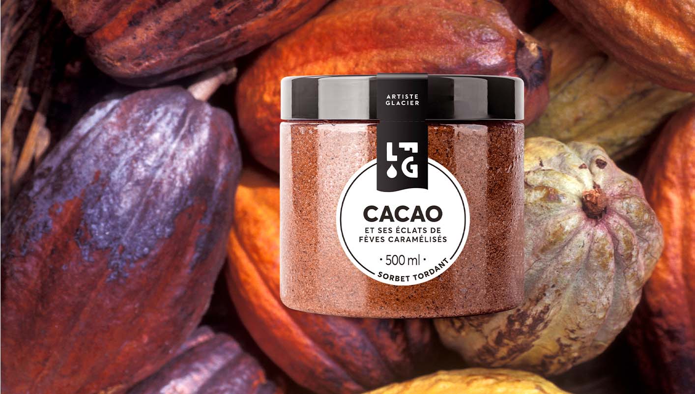 Sorbet artisanal cacao et ses éclats de fèves caramélisés
