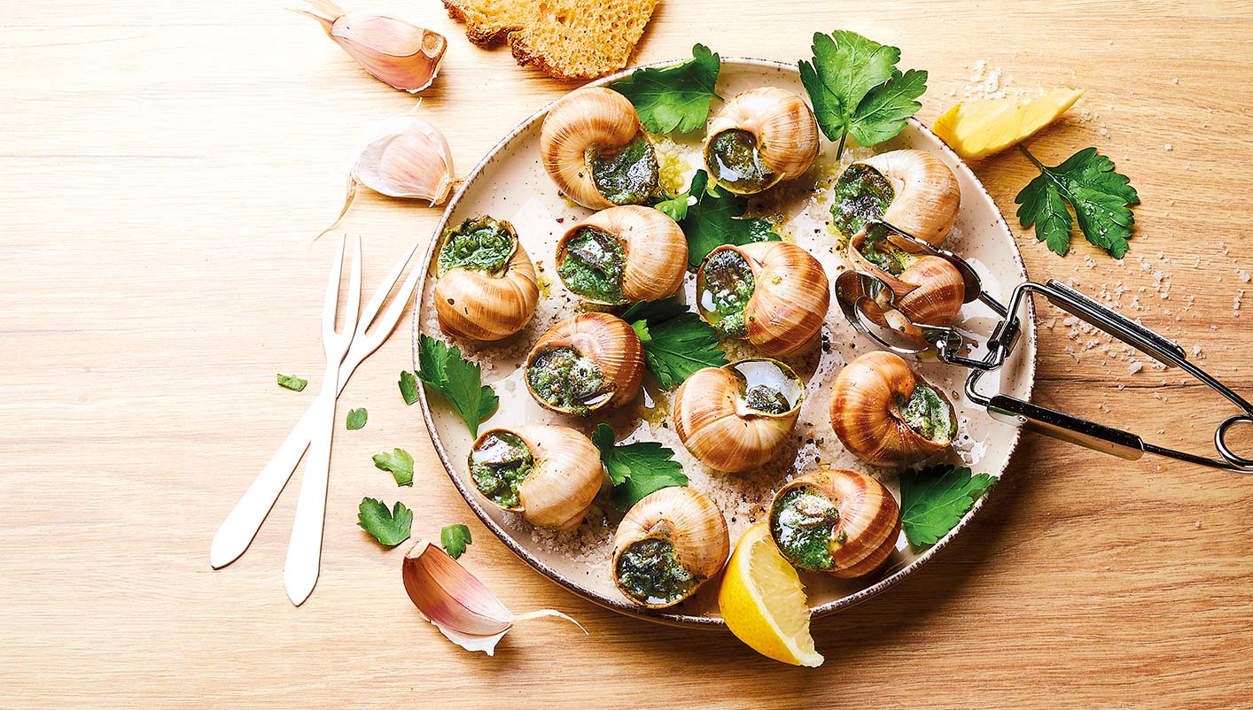 36 Escargots de Bourgogne Label Rouge calibre belle grosseur