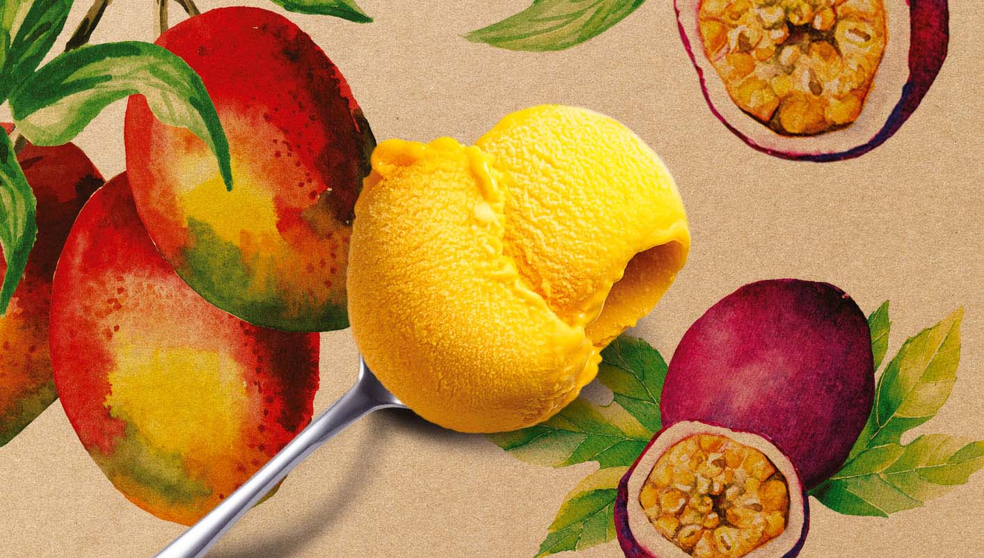 Sorbet Plein Fruit Mangue - Passion