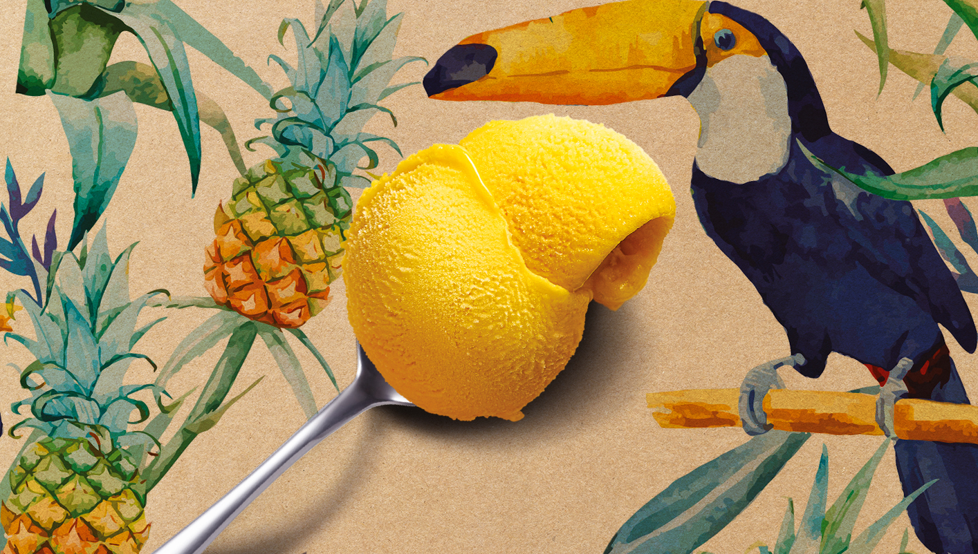 Sorbet Plein Fruit Exotique - Passion Mangue Ananas