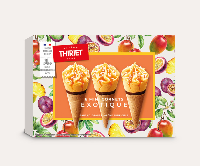 6 Mini cornets exotique