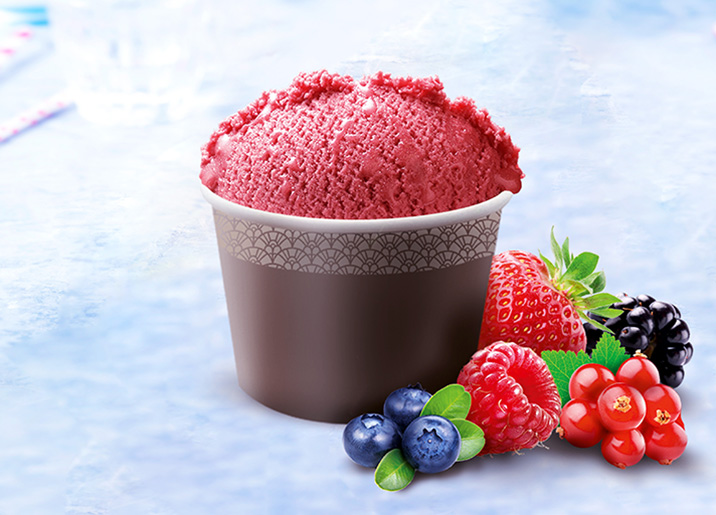 2 Pots individuels Fruits rouges