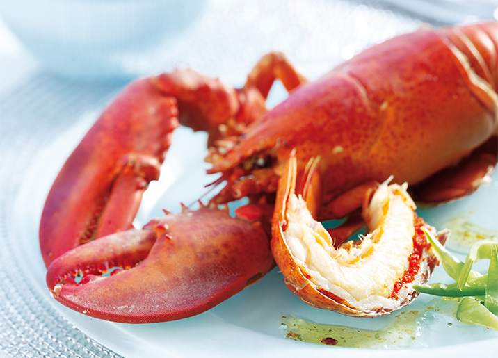 Homard canadien entier cuit