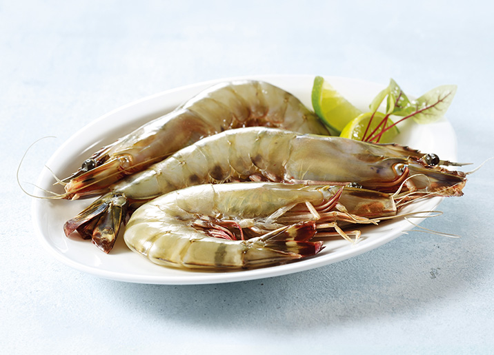 Gambas géantes entières crues