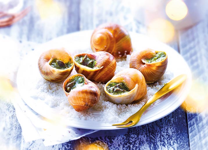 12 Escargots Bourgogne Label Rouge très gros