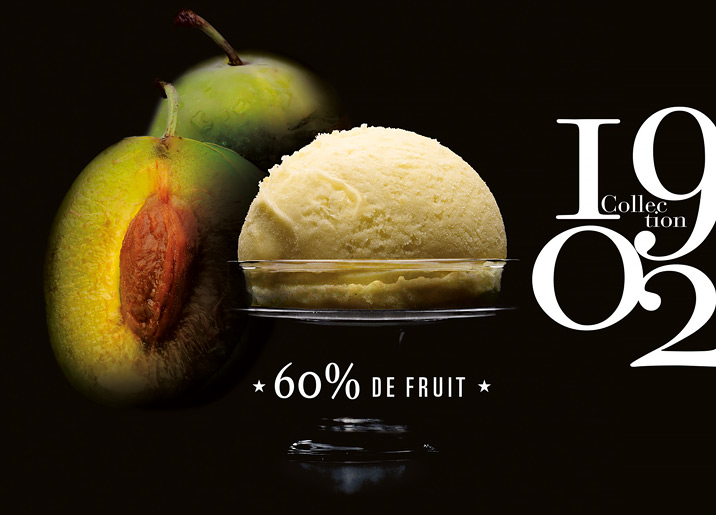 Sorbet Prune Reine Claude du Quercy Label Rouge