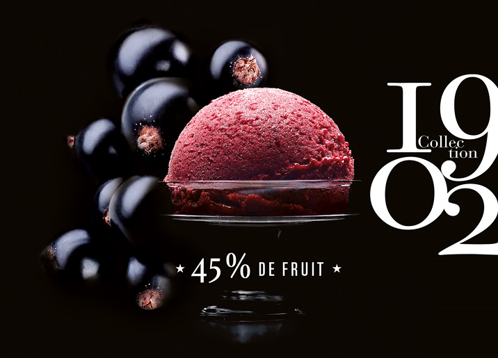 Sorbet Plein Fruit Cassis Noir de Bourgogne Collection 1902