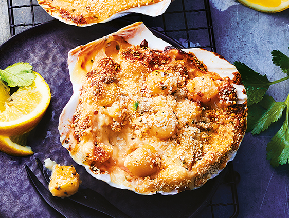 Entrées Traiteur - Coquilles St-Jacques sauce Bretonne