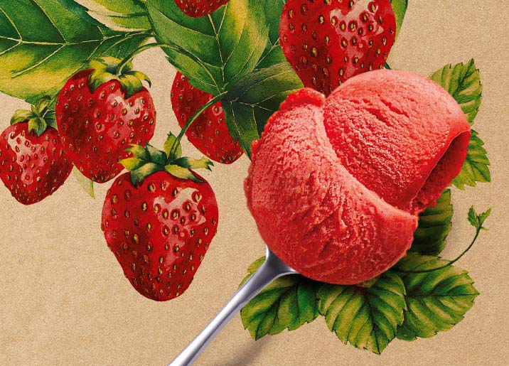 Sorbet Plein Fruit Fraise