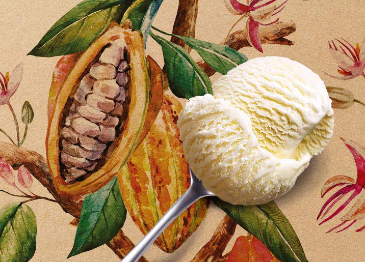 Crème glacée Chocolat blanc