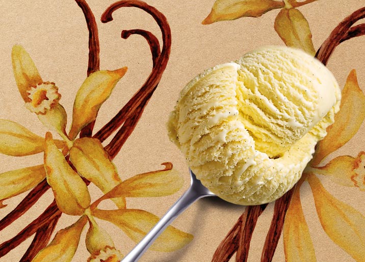Crème glacée Vanille Bourbon de Madagascar