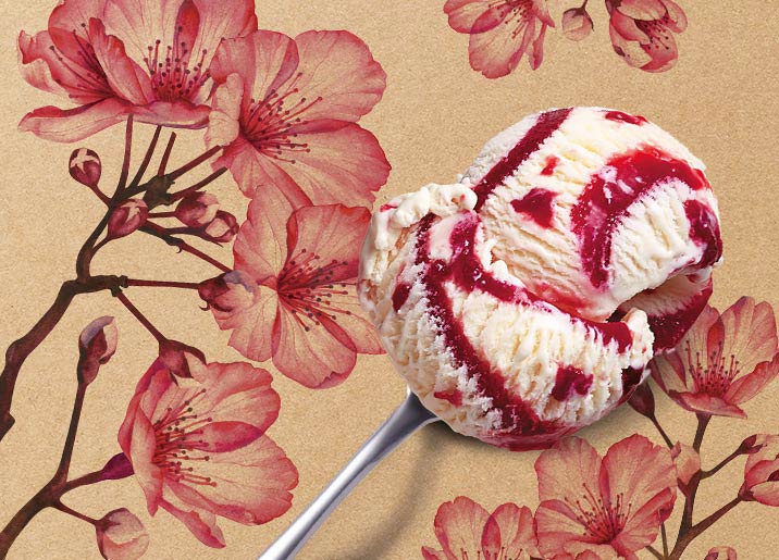 Crème glacée Panna amarena