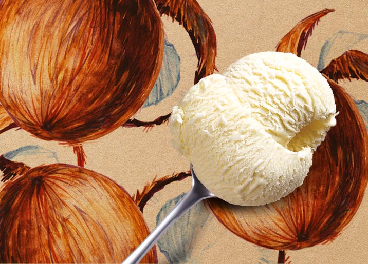 Crème glacée noix de coco et morceaux de noix de coco râpée
