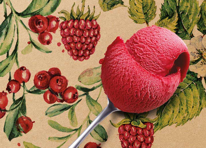 Sorbet Plein Fruit Framboise - Cranberry