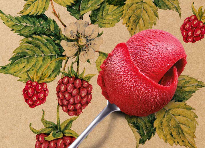Sorbet Plein Fruit framboise