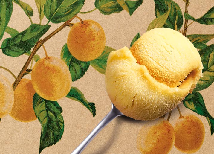 Sorbet Mirabelle de Lorraine IGP* à l'eau de vie