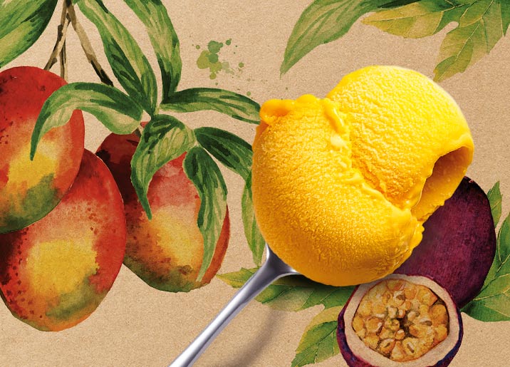 Sorbet Plein Fruit Mangue - Passion