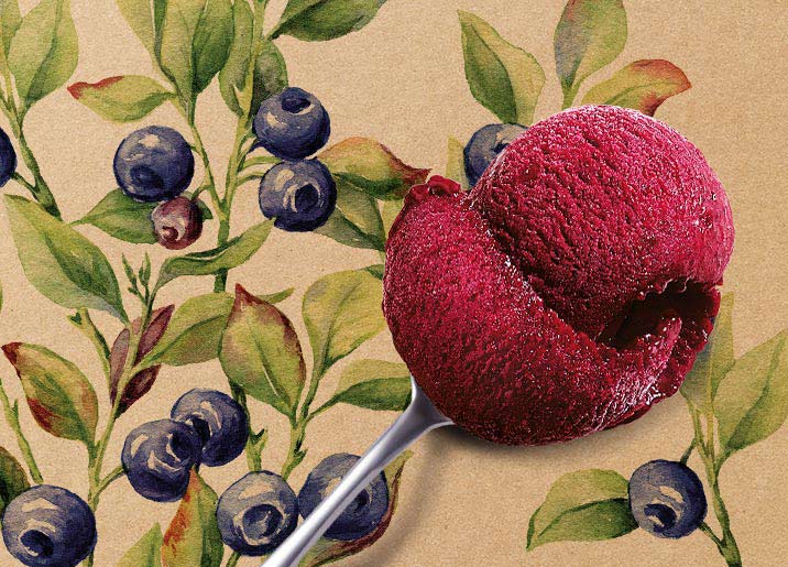 Sorbet Plein Fruit Myrtille sauvage