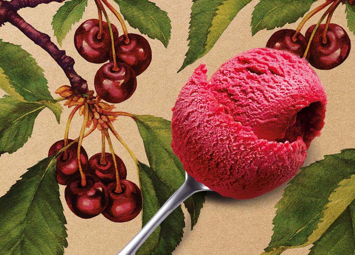 Sorbet Plein Fruit Griotte