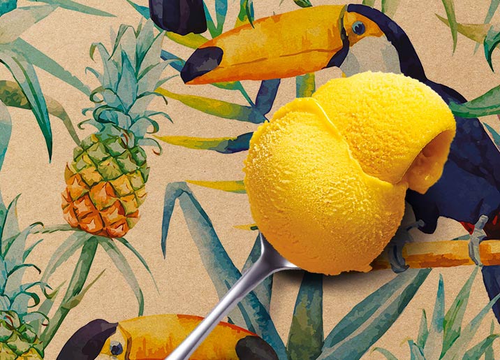 Sorbet Plein Fruit Exotique - Passion Mangue Ananas