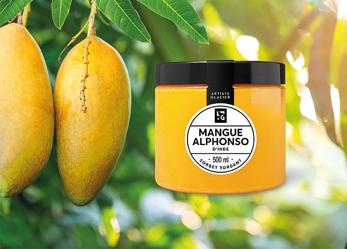 Sorbet Plein Fruit Mangue Alphonso d'Inde