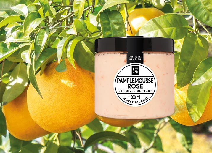 Sorbet Plein Fruit Pamplemousse rose et poivre de Timut