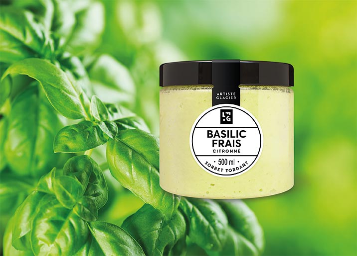 Sorbet Basilic frais citronné