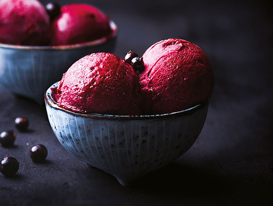 Bac de glace - Sorbet Plein Fruit Cassis Noir de Bourgogne Collection 1902