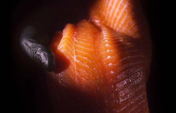 Recette du Bonheur #2 : Cœur de filet de saumon Atlantique fumé