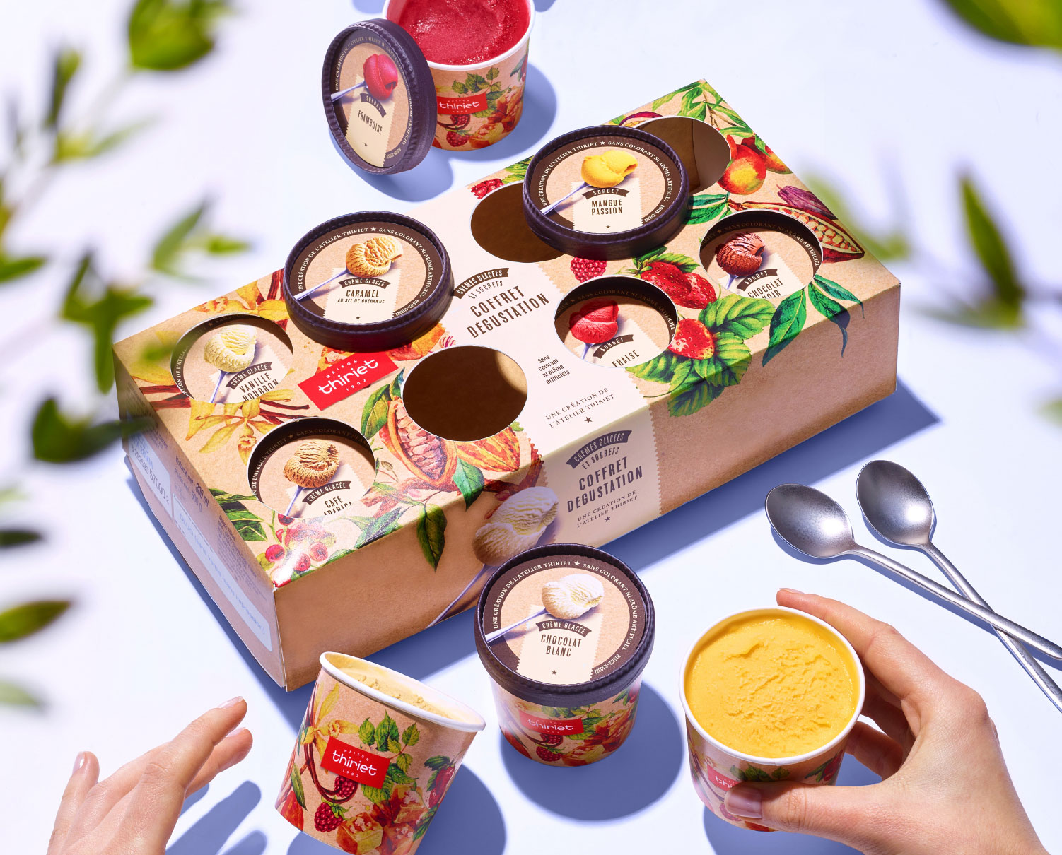 Crèmes glacées et glaces gourmandes - Coffret dégustation premium